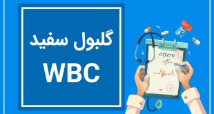 آزمایش wbc چیست