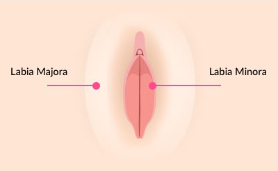 ماندگاری تزریق چربی به واژن